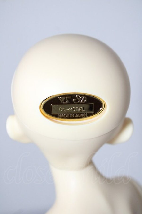 画像5: SDM女の子/F-61　コーディネートモデル U-26-02-04-214-TN-ZU (5)