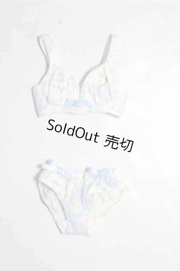 画像1: MDD/OF:下着 A-26-02-04-1071-TN-ZU (1)