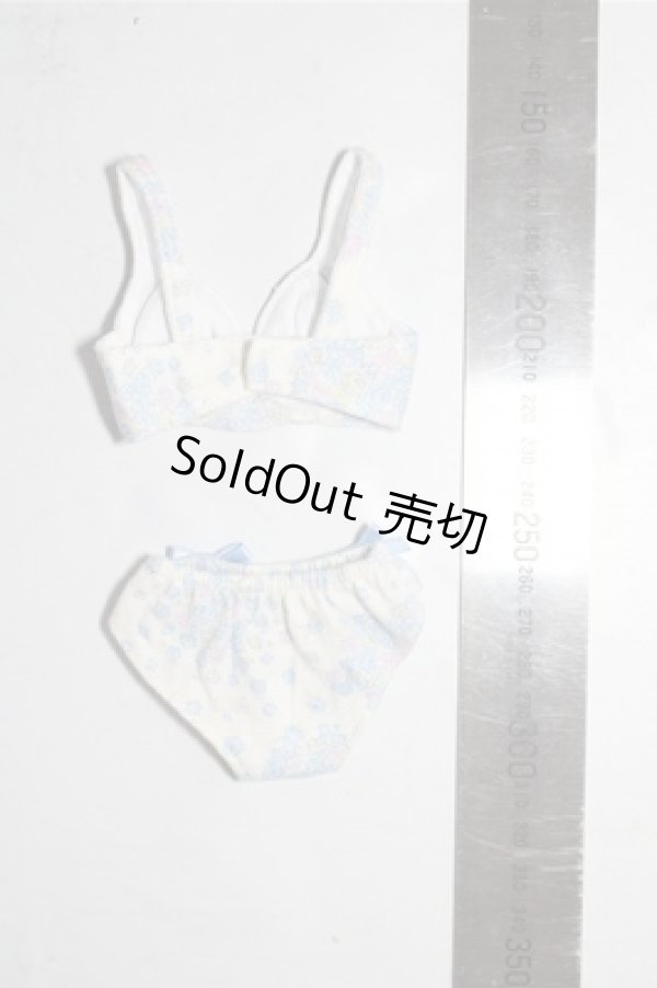 画像2: MDD/OF:下着 A-26-02-04-1071-TN-ZU (2)