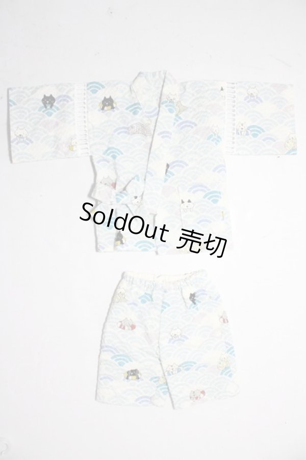 画像1: SDM＆MSD/OF:衣装セット U-26-02-04-173-TN-ZU (1)