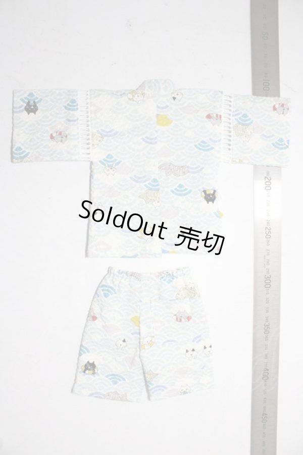 画像2: SDM＆MSD/OF:衣装セット U-26-02-04-173-TN-ZU (2)