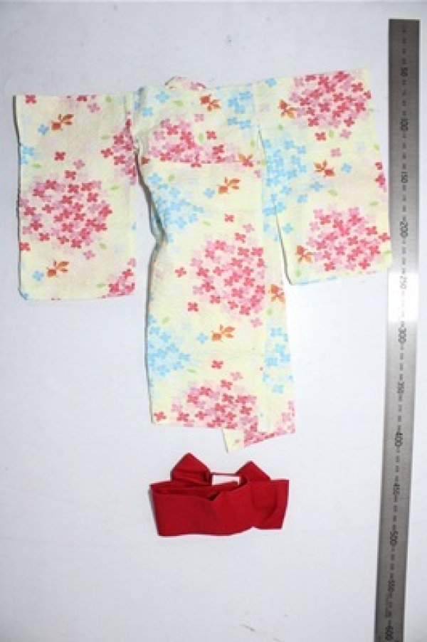 画像2: MDD/OF:衣装セット A-26-02-04-1064-TN-ZU (2)