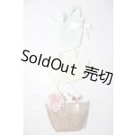 画像: DD/OF:小物 A-26-02-18-1071-TN-ZU