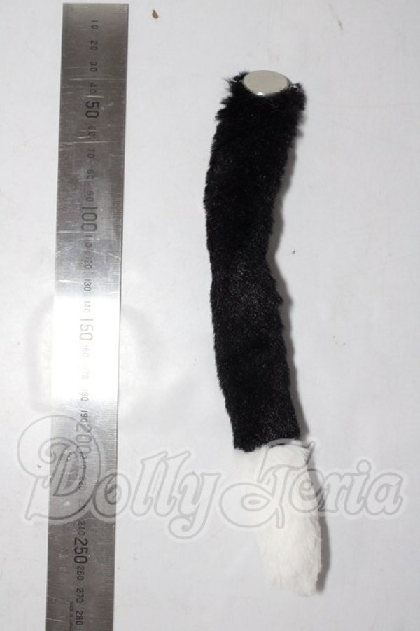 画像2: DD/OF:小物 A-26-02-18-1069-TN-ZU (2)