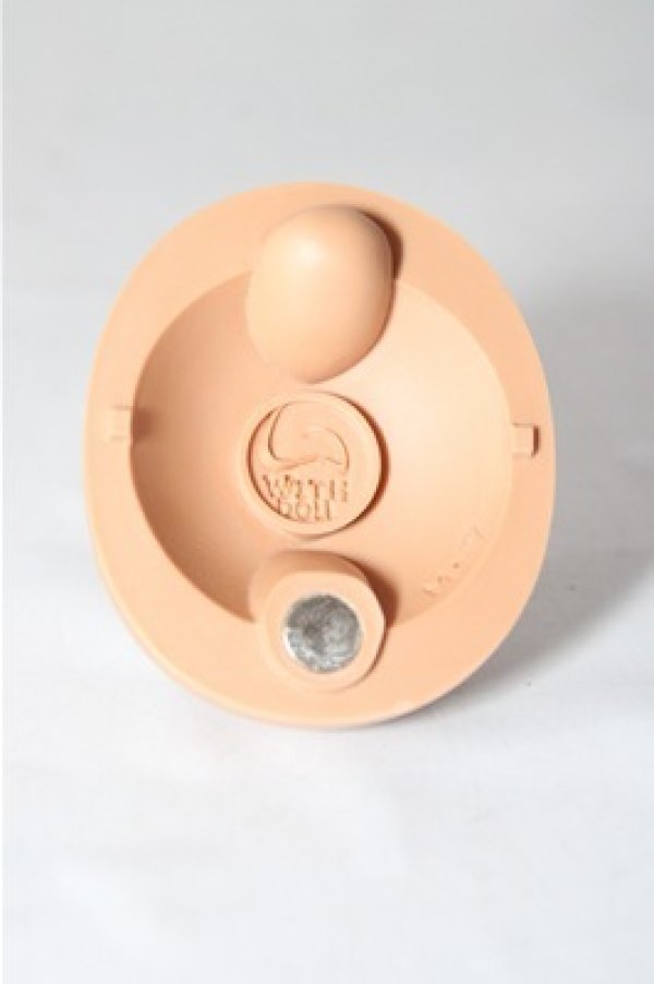 画像5: with doll/ash：1/4 A-26-02-04-1096-TN-ZU (5)