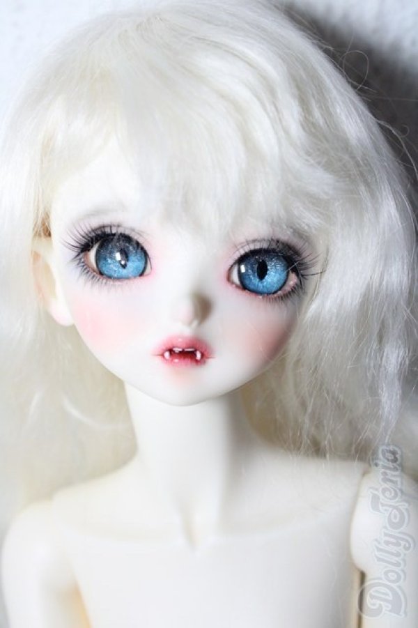 画像1: PEAK'S WOODS/FOB V.lady bee kitten blue limited A-26-02-11-1097-TN-ZU (1)