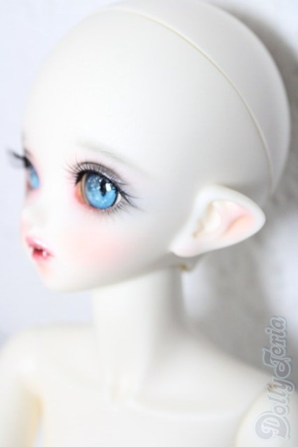 画像2: PEAK'S WOODS/FOB V.lady bee kitten blue limited A-26-02-11-1097-TN-ZU (2)