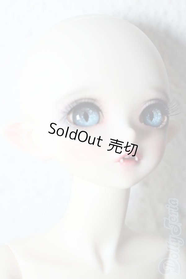 画像3: PEAK'S WOODS/FOB V.lady bee kitten blue limited A-26-02-11-1097-TN-ZU (3)