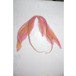 画像: SD＆DD/ZOZONE製妖精羽/SD U-26-02-11-209-TN-ZU