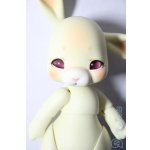 画像: cocoriang/tobi A-26-02-11-1085-TN-ZU