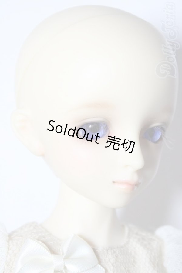 画像3: SDM/コーディネートモデルF-06 U-26-02-11-212-TN-ZU (3)