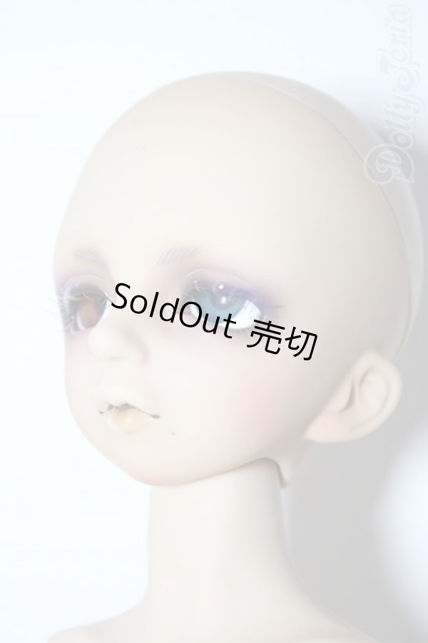 画像2: SDM/フルチョイスF-16 U-26-02-11-213-TN-ZU (2)