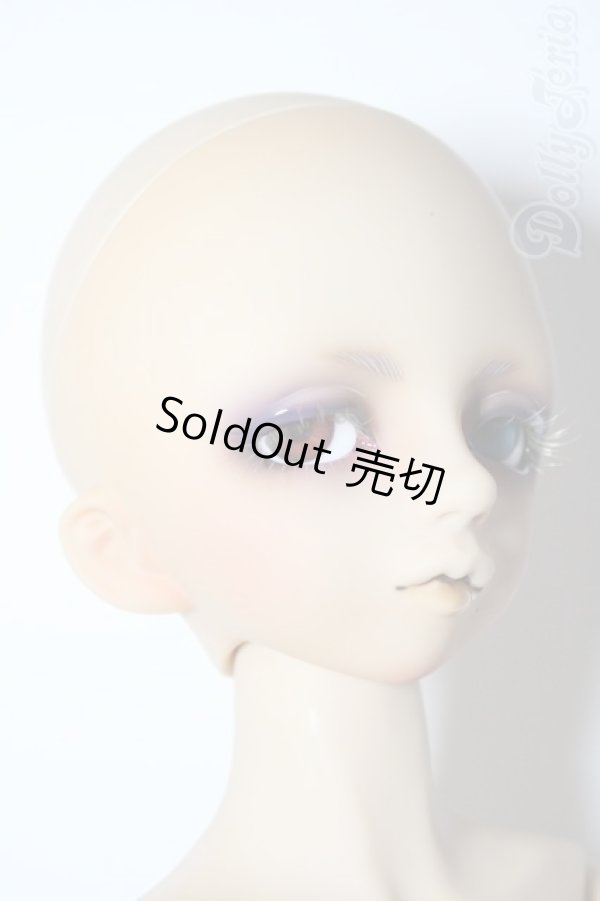 画像3: SDM/フルチョイスF-16 U-26-02-11-213-TN-ZU (3)