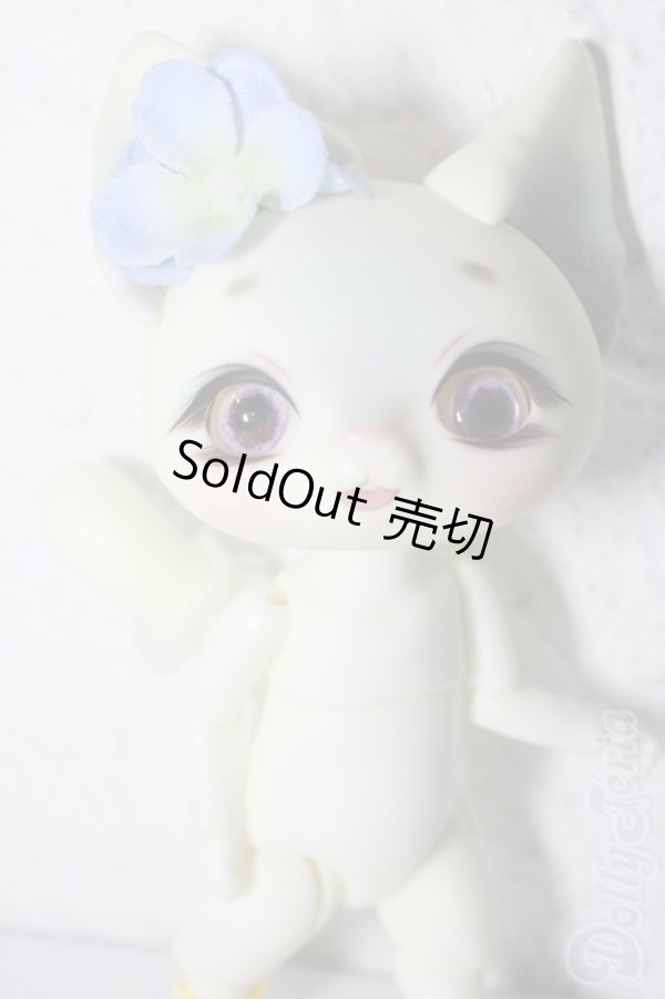 画像1: DEARMINE/Picasso Bean Canaria Skin+衣装 A-26-02-11-1095-TN-ZU (1)