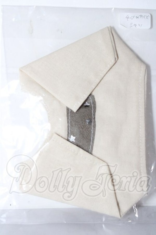 画像1: SDM&MSD/OF:トップス U-26-02-18-097-TN-ZU (1)