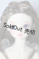 画像: SD/アダプションモデル:ニコ U-26-02-18-219-TN-ZU