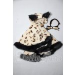 画像: DD/OF:アウター A-26-02-25-1021-TN-ZU