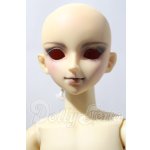 画像: SDC/嵐 U-26-02-25-213-TN-ZU