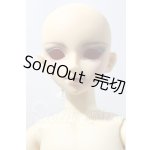 画像: SDC/嵐 U-26-02-25-213-TN-ZU