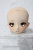 画像1: OBドール/DENKAカスタムヘッド A-25-02-25-1065-TN-ZU (1)