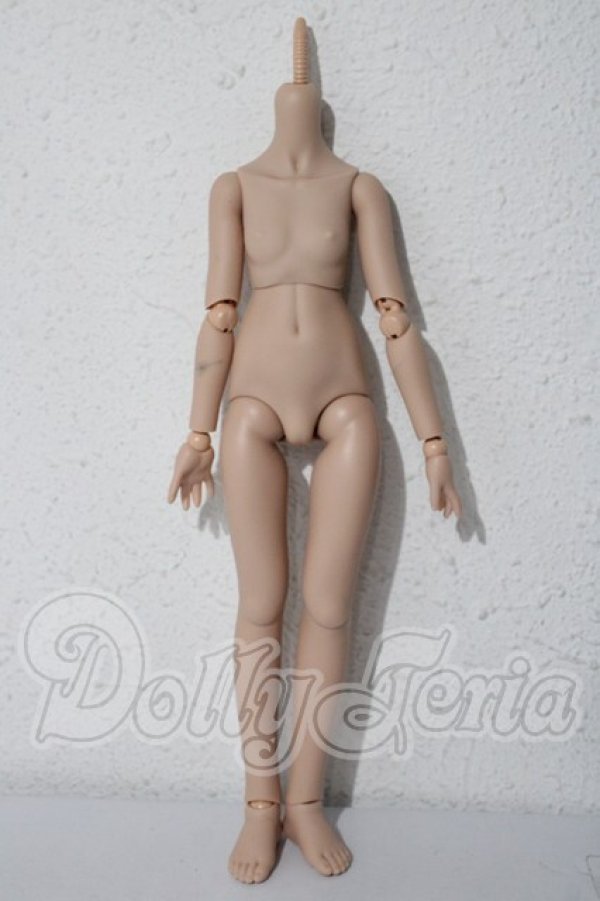 画像1: MDD/ベースボディ(DD-f3) A-25-02-25-1085-TN-ZU (1)