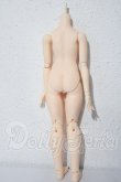 画像2: dollbot/DBC-Mボディ（ワンボディタイプ）プラチナ肌 A-25-02-25-1095-TN-ZU (2)