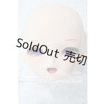 画像: dollbot/DBC用【DB01ヘッド】（プラチナ肌）RAI MUNECA製/海外製キャストドール A-25-02-25-1083-TN-ZU