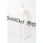 画像: SDGr/女の子ボディ U-26-03-04-213-TN-ZU
