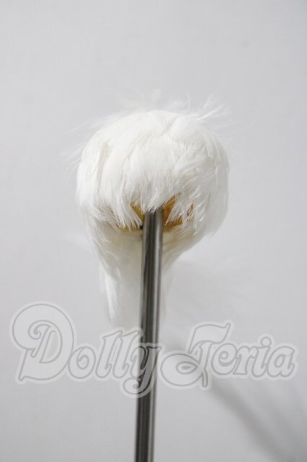 画像1: 4ｉｎｃｈ/羽根ウィッグ A-26-03-04-1044-TN-ZU (1)