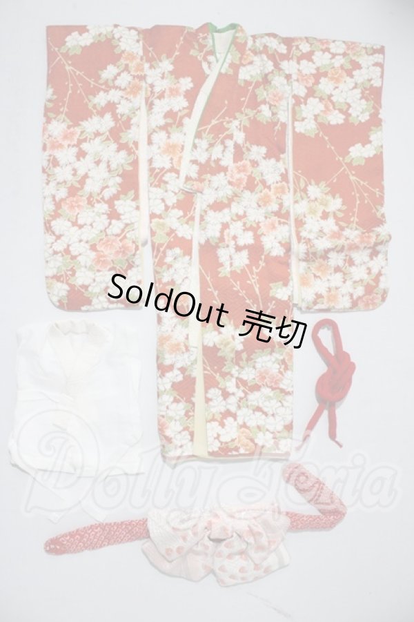 画像1: SDM/OF：着物セット U-26-03-04-093-TN-ZU (1)