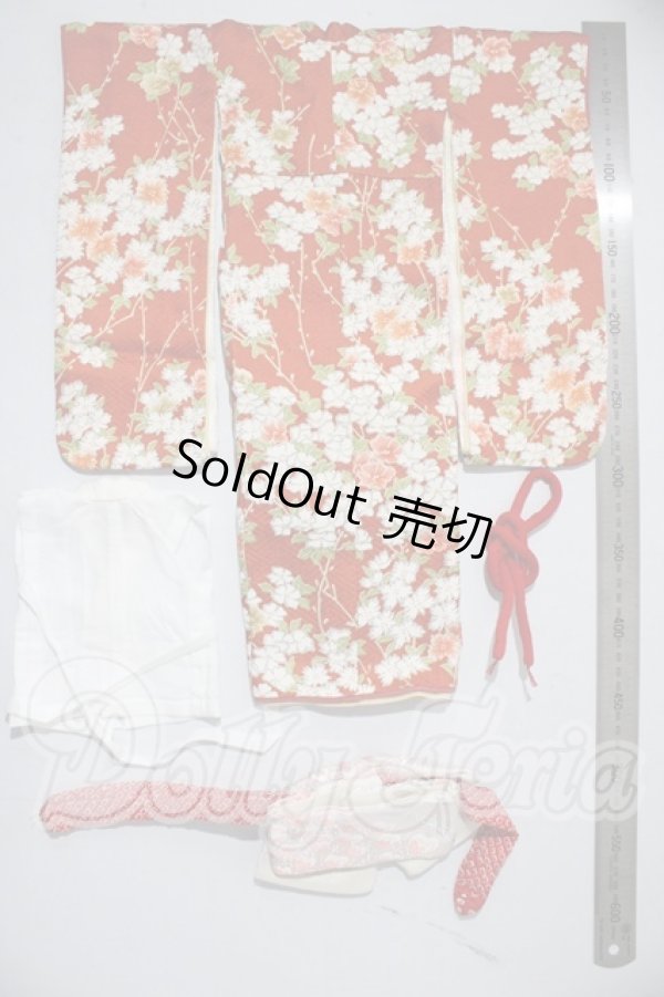 画像2: SDM/OF：着物セット U-26-03-04-093-TN-ZU (2)