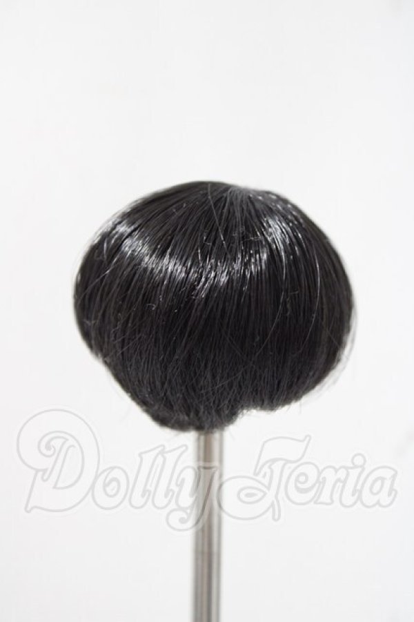 画像2: 3.5inch-4inch/ウィッグ A-26-03-04-1006-TN-ZU (2)