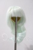 画像1: 3.5inch-4inch/ウィッグ A-26-03-04-1001-TN-ZU (1)