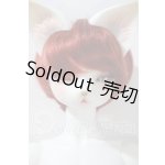画像: DEARMINE/LUNE COOL　文豪 limited ver. A-26-03-04-1080-TN-ZU