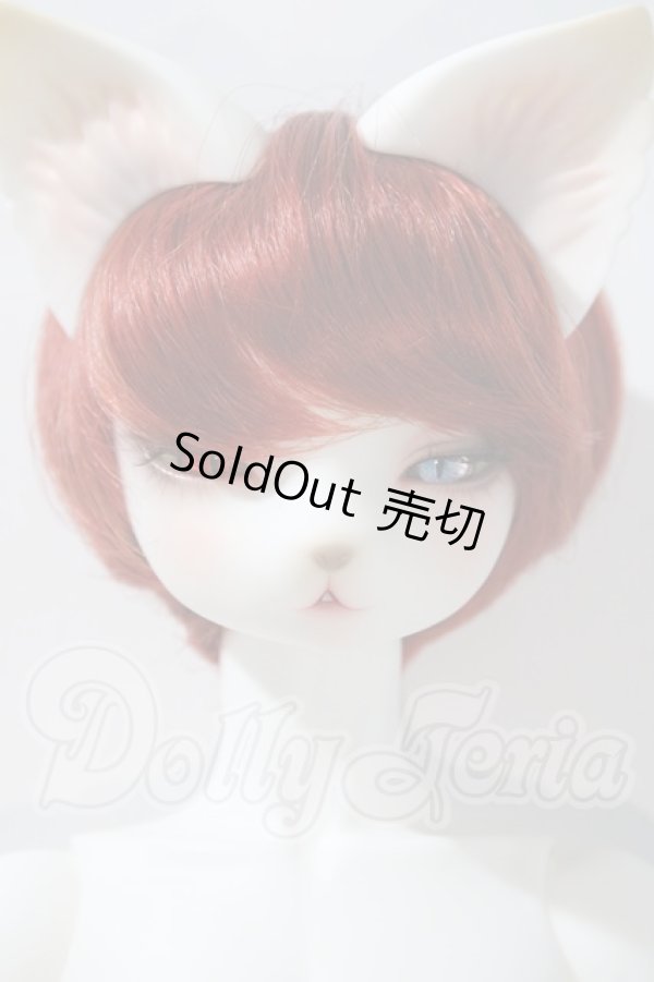 画像1: DEARMINE/LUNE COOL　文豪 limited ver. A-26-03-04-1080-TN-ZU (1)