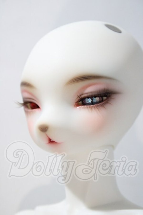 画像2: DEARMINE/LUNE COOL　文豪 limited ver. A-26-03-04-1080-TN-ZU (2)