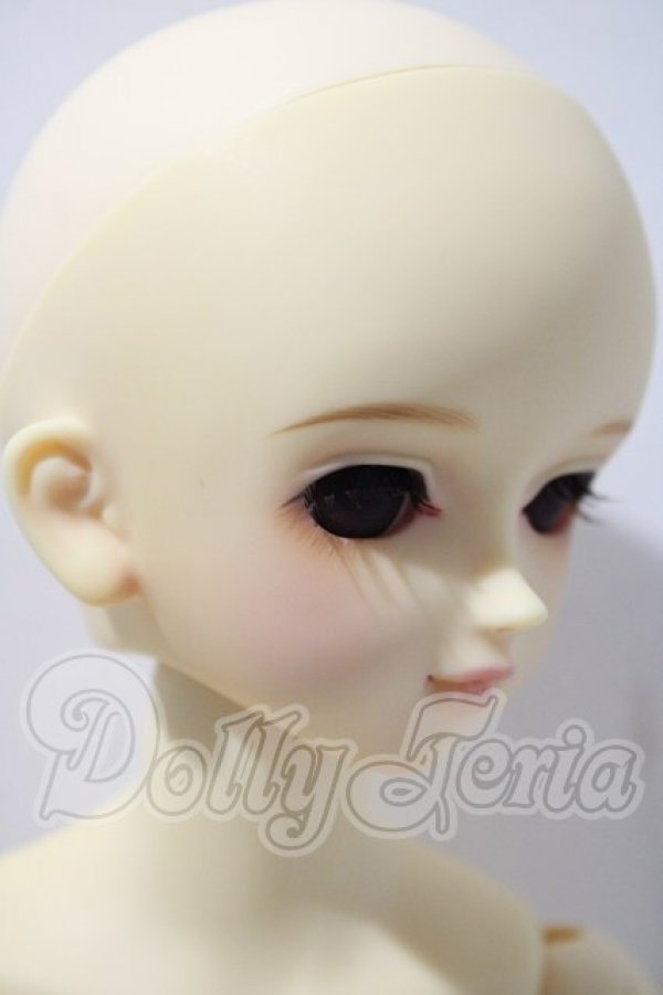 画像3: MSD/フルチョイス：MSD-F-17　本体 U-26-03-04-218-TN-ZU (3)