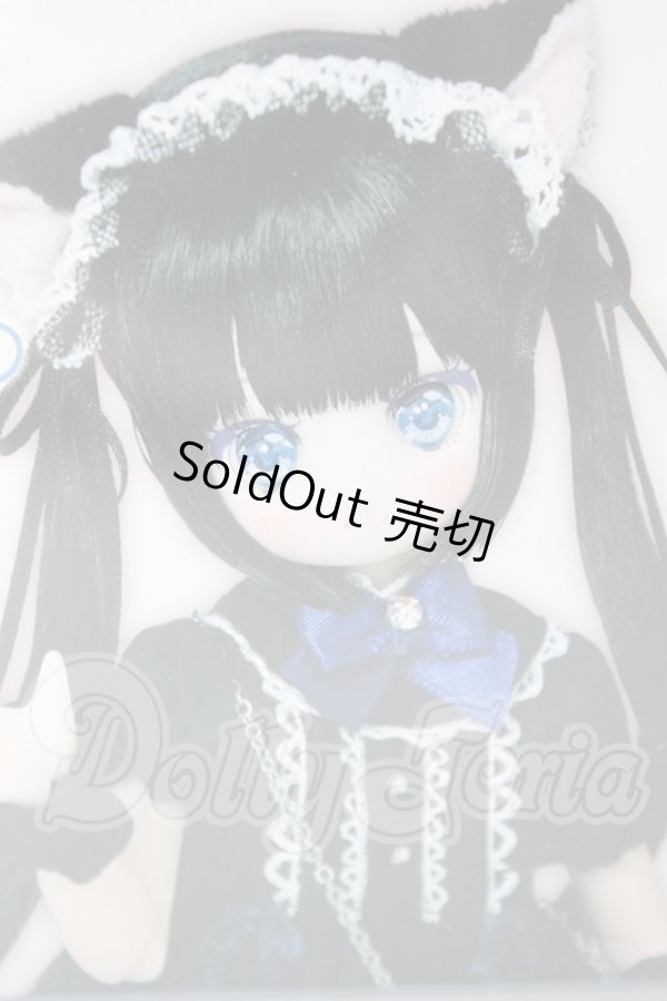 画像1: からふるDreamin’／めばえ 〜A Gift from M．K．〜（黒猫ver．） A-26-03-25-305-TN-ZA (1)
