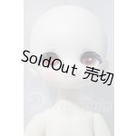 画像: TinyFox/悪魔と天使の混血子羊 アスモティ A-26-03-18-1042-TN-ZU