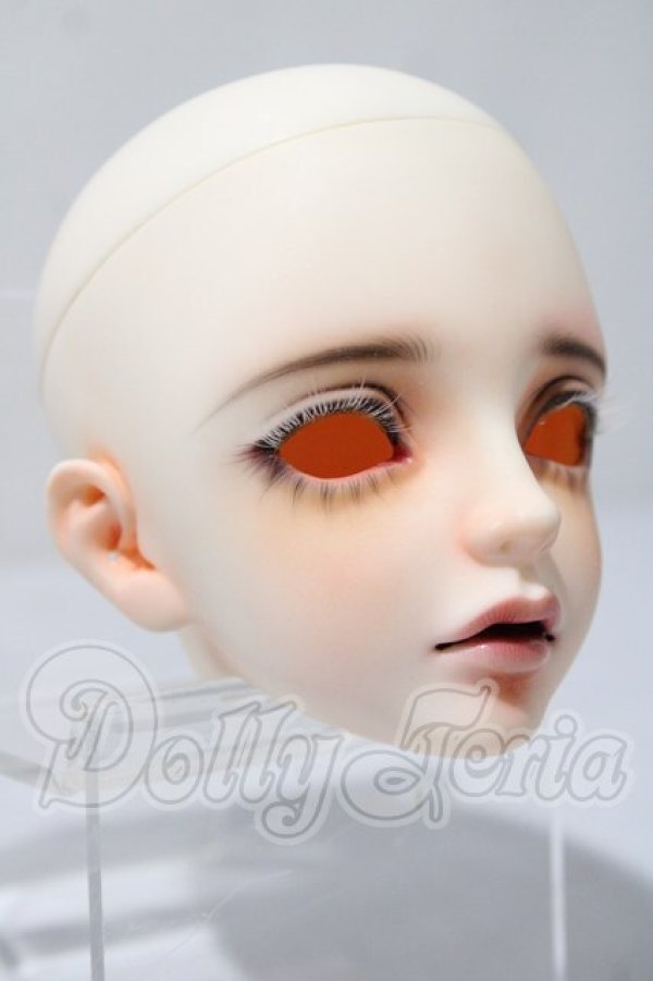 画像3: SWITCH/SHIHOヘッド A-26-03-18-1040-TN-ZU (3)