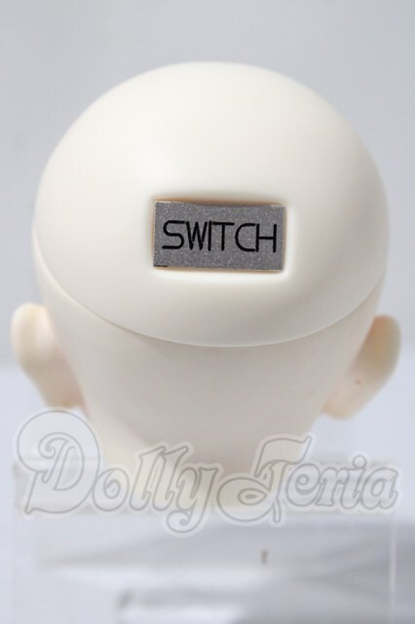 画像4: SWITCH/SHIHOヘッド A-26-03-18-1040-TN-ZU (4)