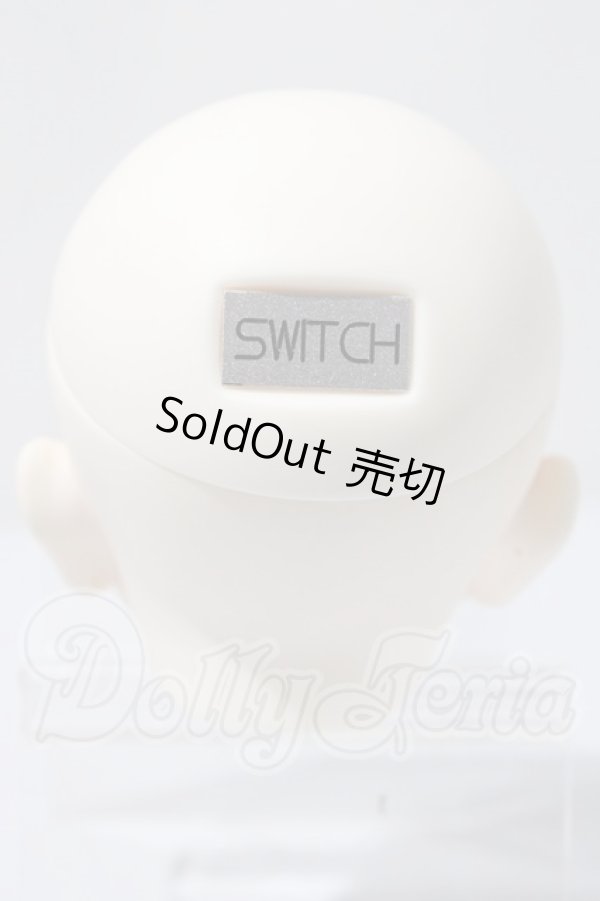 画像4: SWITCH/SHIHOヘッド A-26-03-18-1040-TN-ZU (4)