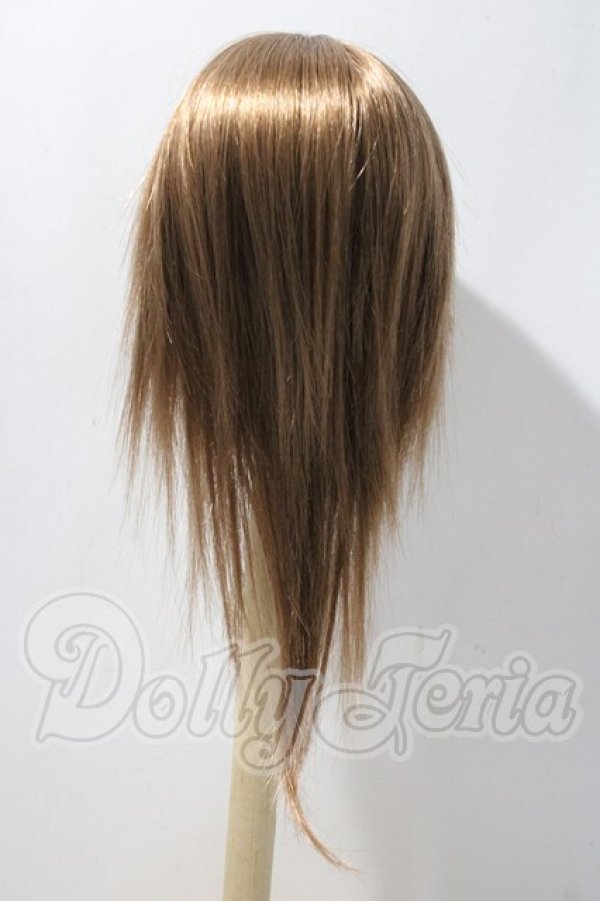 画像2: 8-9inch/ウィッグ U-26-03-11-008-TN-ZU (2)