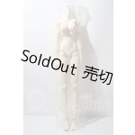 画像: AZO2‐GWF2012夏会場特別販売品 A-26-03-18-1047-TN-ZU