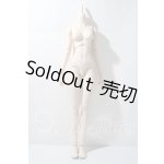 画像: DDS/ベースボディ A-26-03-18-1045-TN-ZU