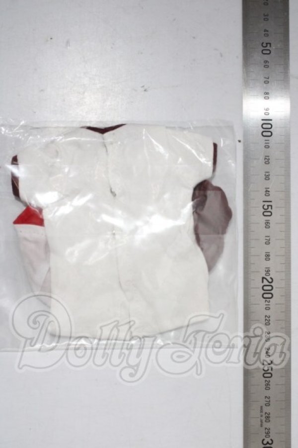 画像2: MDD/OF:衣装セット A-26-03-25-1027-TN-ZU (2)