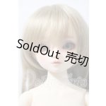 画像: SDM/サキ スタンダードモデル U-26-03-25-215-TN-ZU