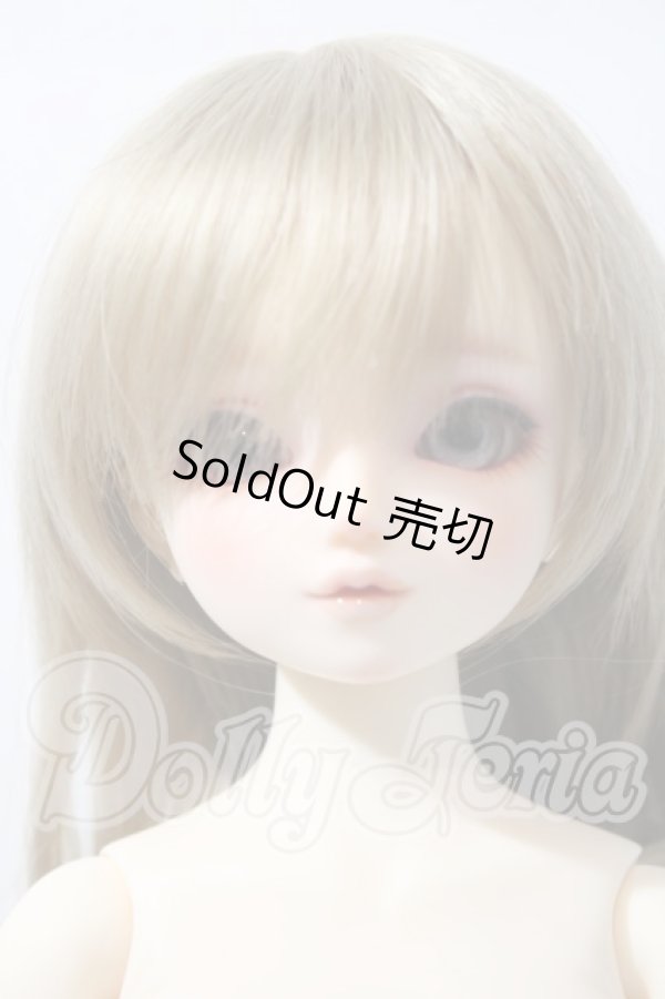 画像1: SDM/サキ　スタンダードモデル U-26-03-25-215-TN-ZU (1)