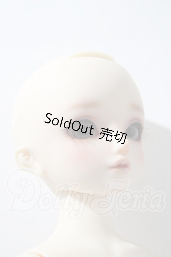 画像3: SDM/サキ　スタンダードモデル U-26-03-25-215-TN-ZU (3)