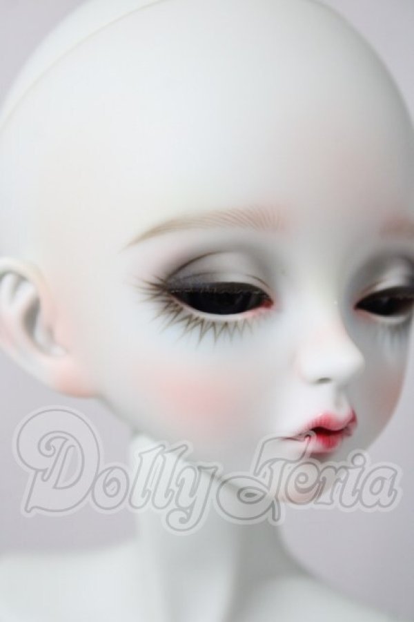 画像3: peak's woods/FOC 　tristan A-26-04-01-1099-TN-ZU (3)